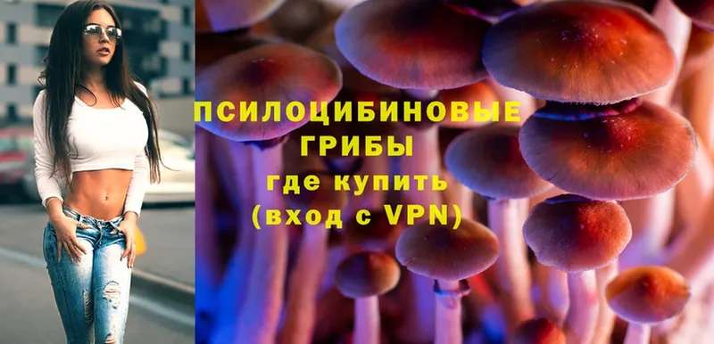 Псилоцибиновые грибы Psilocybe  наркошоп  Кудымкар 